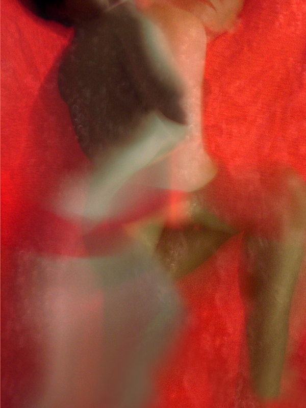 Renata Vogl red No1